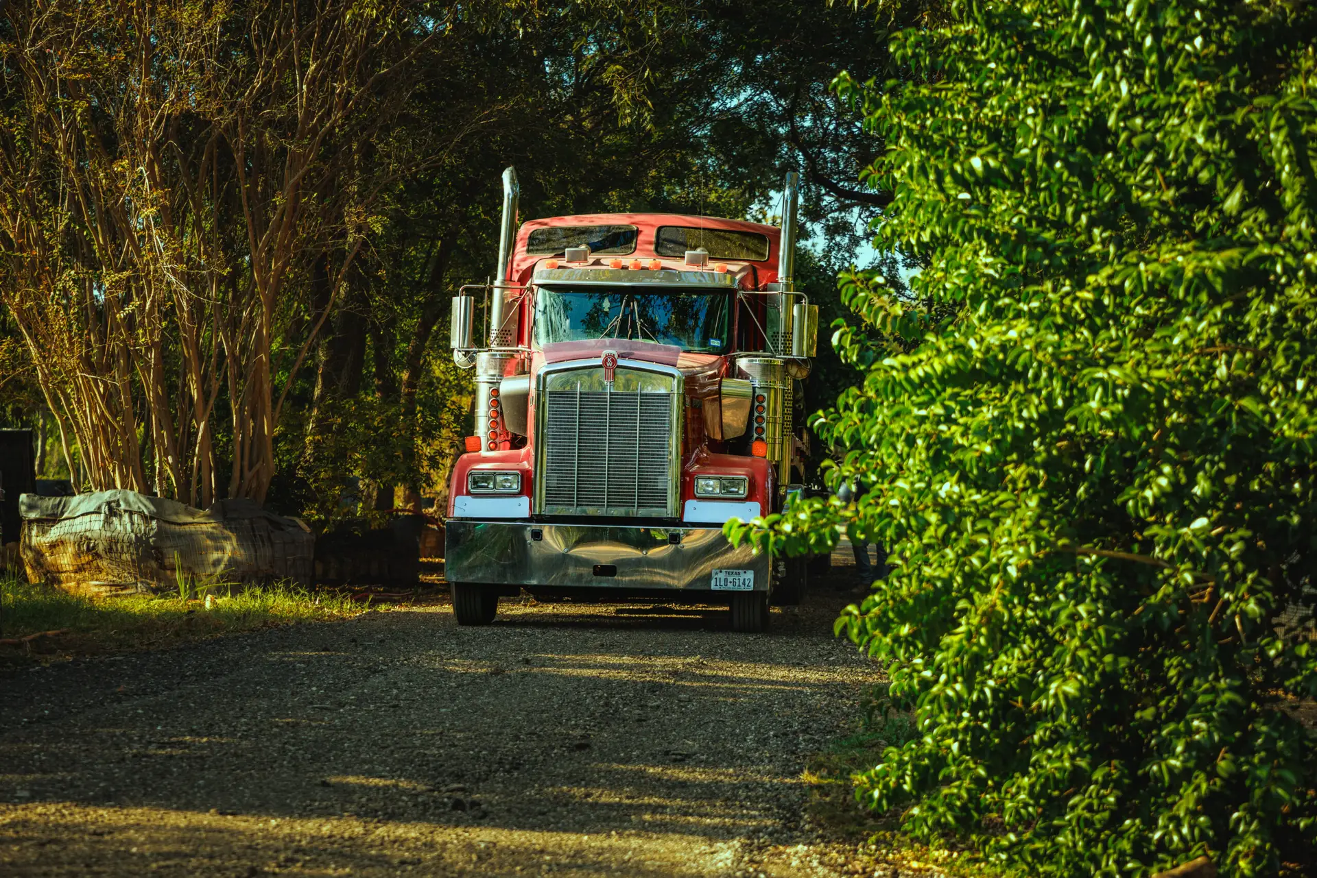 An Alfaro Trees transport truck among the trees