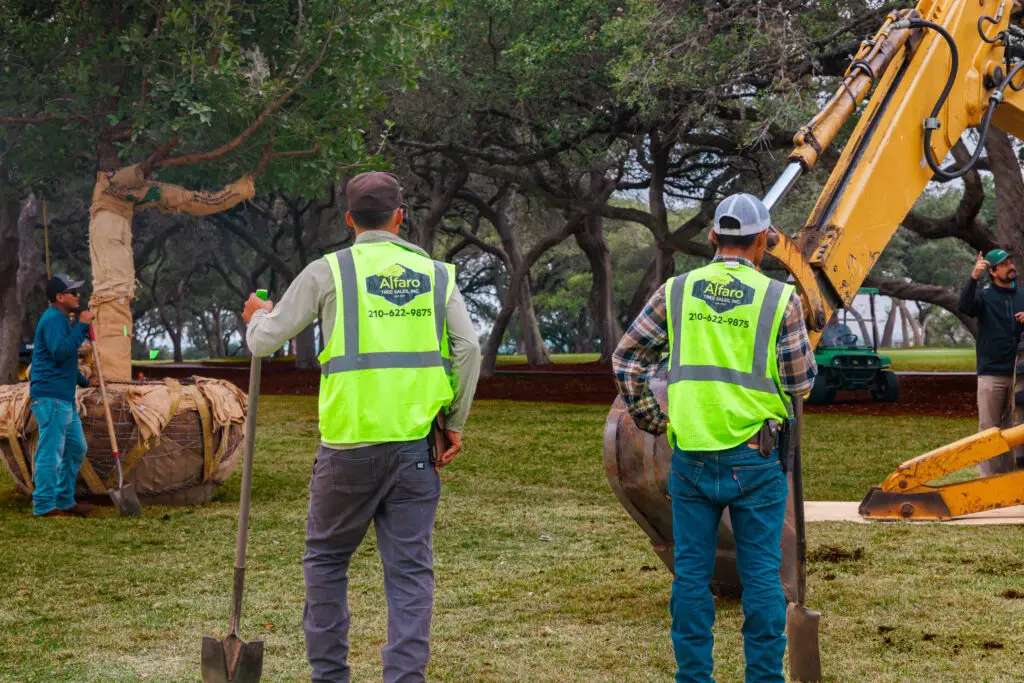Two workers in neon vests tending to cows near a yellow excavator.